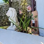Valetis 빌라 로비니