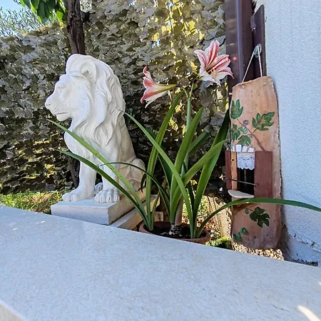 Valetis Willa Rovinj